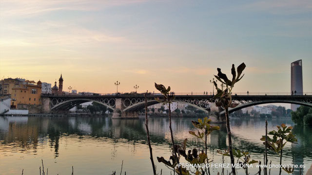 Photo: Paseo Alcalde Marqués del Contadero, Sevilla, España. ©Fernando Pérez Medina: photoonline.es - 3wpc.es - advertisingonline.es Paseo Alcalde Marqués del Contadero, Sevilla, España 640w