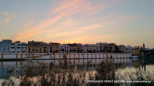 Paseo Alcalde Marqués del Contadero, Sevilla, España 640w