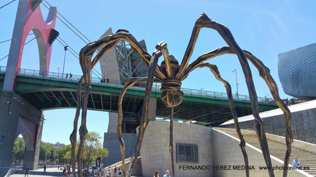 Museo Guggenheim Bilbao, Avenida Abandoibarra, Bilbao, España 640w