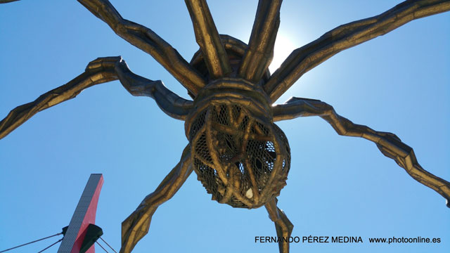Museo Guggenheim Bilbao, Avenida Abandoibarra, Bilbao, España 640w