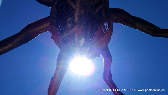 Photo: Museo Guggenheim Bilbao, Avenida Abandoibarra, Bilbao, España. ©Fernando Pérez Medina: photoonline.es - 3wpc.es - advertisingonline.es Museo Guggenheim Bilbao, Avenida Abandoibarra, Bilbao, España 640w