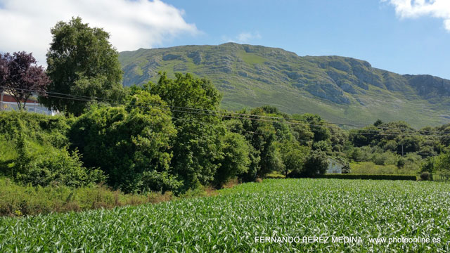 Santuario De Covadonga, Covadonga, Asturias, España 640w