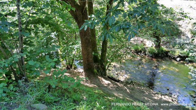 Santuario De Covadonga, Covadonga, Asturias, España 640w