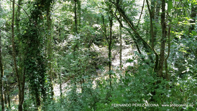 Santuario De Covadonga, Covadonga, Asturias, España 640w