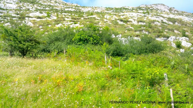 Photo: Lagos de Covadonga, Asturias, España. ©Fernando Pérez Medina: photoonline.es - 3wpc.es - advertisingonline.es Lagos de Covadonga, Asturias, España 640w