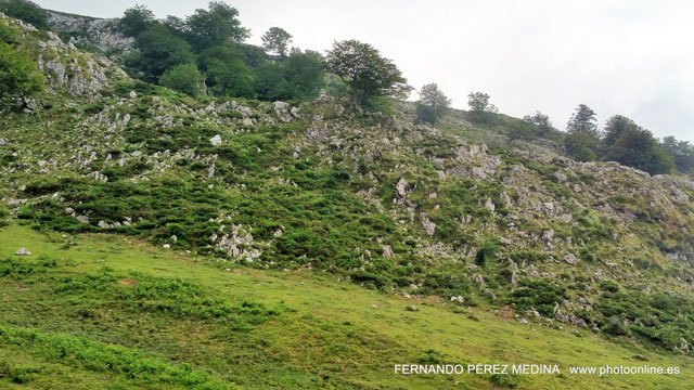 Lagos de Covadonga, Asturias, España 640w