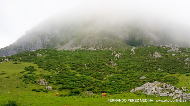 Photo: Lagos de Covadonga, Asturias, España. ©Fernando Pérez Medina: photoonline.es - 3wpc.es - advertisingonline.es Lagos de Covadonga, Asturias, España 640w