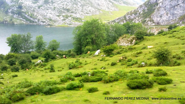 Photo: Lagos de Covadonga, Asturias, España. ©Fernando Pérez Medina: photoonline.es - 3wpc.es - advertisingonline.es Lagos de Covadonga, Asturias, España 640w