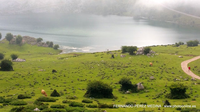 Photo: Lagos de Covadonga, Asturias, España. ©Fernando Pérez Medina: photoonline.es - 3wpc.es - advertisingonline.es Lagos de Covadonga, Asturias, España 640w