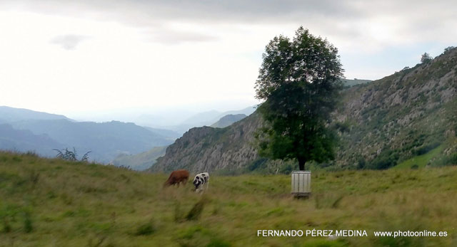 Photo: Lagos de Covadonga, Asturias, España. ©Fernando Pérez Medina: photoonline.es - 3wpc.es - advertisingonline.es Lagos de Covadonga, Asturias, España 640w