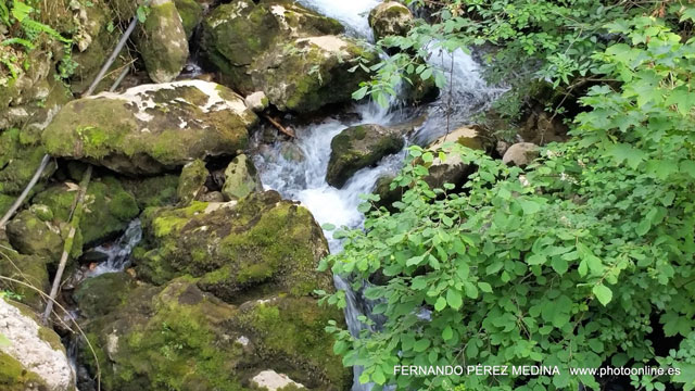 Santuario De Covadonga, Covadonga, Asturias, España 640w