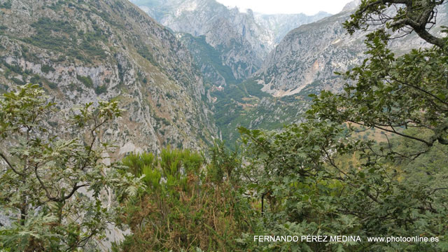 Photo: Mirador de La Reina, Asturias, España. ©Fernando Pérez Medina: photoonline.es - 3wpc.es - advertisingonline.es Mirador de La Reina, Asturias, España 640w