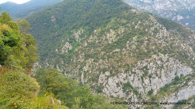 Mirador de La Reina, Asturias, España 640w
