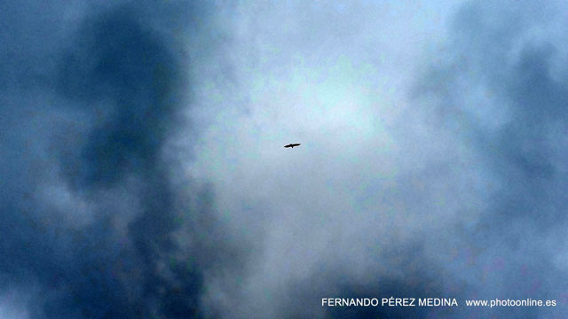 Mirador de La Reina, Asturias, España 640w