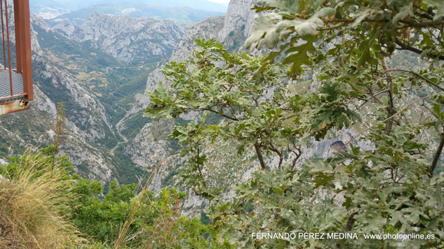 Mirador de La Reina, Asturias, España 640w