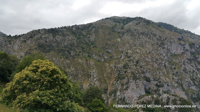 Mirador de La Reina, Asturias, España 640w