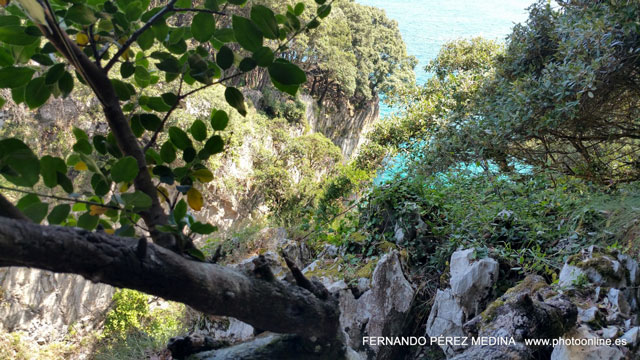 Cuevas del Pindal, Asturias, España 640w