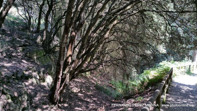 Cuevas del Pindal, Asturias, España 640w