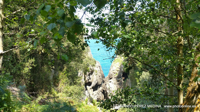 Photo: Cuevas del Pindal, Asturias, España. ©Fernando Pérez Medina: photoonline.es - 3wpc.es - advertisingonline.es Cuevas del Pindal, Asturias, España 640w