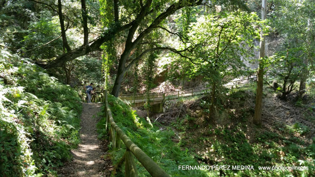 Photo: Cuevas del Pindal, Asturias, España. ©Fernando Pérez Medina: photoonline.es - 3wpc.es - advertisingonline.es Cuevas del Pindal, Asturias, España 640w