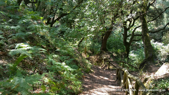 Cuevas del Pindal, Asturias, España 640w