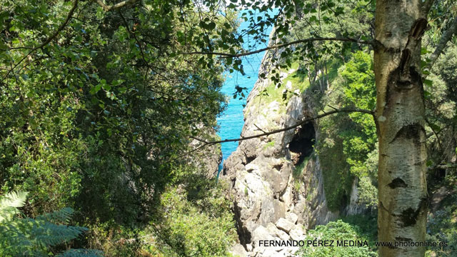 Photo: Cuevas del Pindal, Asturias, España. ©Fernando Pérez Medina: photoonline.es - 3wpc.es - advertisingonline.es Cuevas del Pindal, Asturias, España 640w