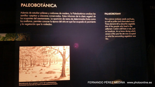 Photo: Museo Nacional y Centro de Investigación de Altamira, Santillana del Mar, Cantabria, España. ©Fernando Pérez Medina: photoonline.es - 3wpc.es - advertisingonline.es Museo Nacional y Centro de Investigación de Altamira, Santillana del Mar, Cantabria, España 640w