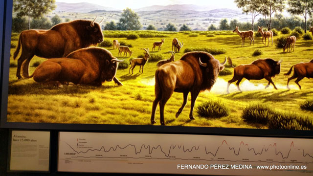 Museo Nacional y Centro de Investigación de Altamira, Santillana del Mar, Cantabria, España 640w
