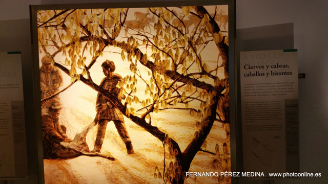 Museo Nacional y Centro de Investigación de Altamira, Santillana del Mar, Cantabria, España 640w