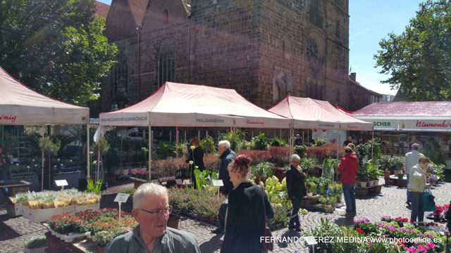 Photo: Bremen, Alemania. ©Fernando Pérez Medina: photoonline.es - 3wpc.es - advertisingonline.es Bremen, Alemania 640w