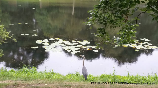 Photo: Bremen, Alemania. ©Fernando Pérez Medina: photoonline.es - 3wpc.es - advertisingonline.es Bremen, Alemania 640w