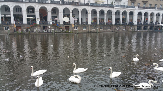 Hamburgo, Alemania 640w