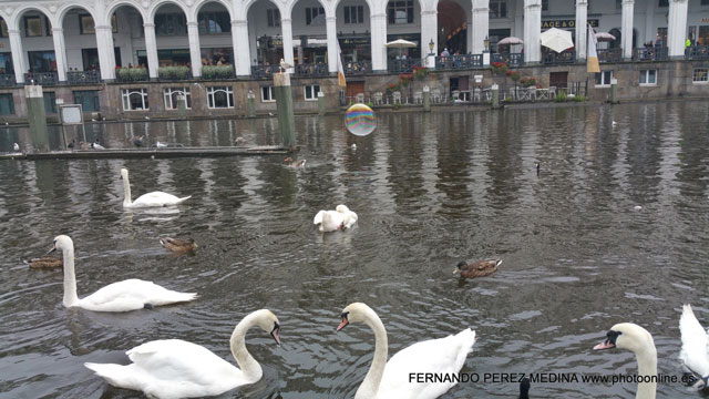 Hamburgo, Alemania 640w