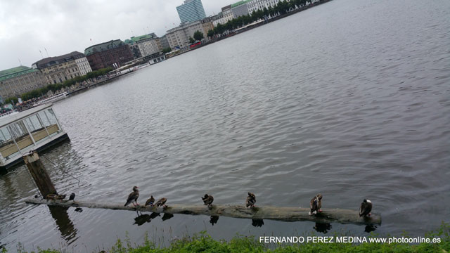 Hamburgo, Alemania 640w