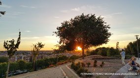 Cerro de los Perdigones, Pozuelo de Alarcón, Madrid
