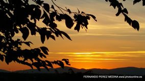 Cerro de los Perdigones, Pozuelo de Alarcón, Madrid