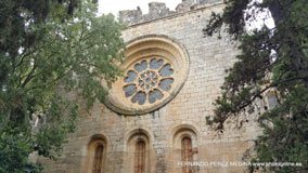 Roda de Bará, Tarragona, España