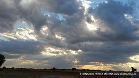 Via de la Dos Castillas, Pozuelo de Alarcón, Madrid