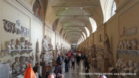 Musei Vaticani, Viale Vaticano, Roma, Italia