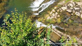 Santuario De Covadonga, Covadonga, Asturias, España