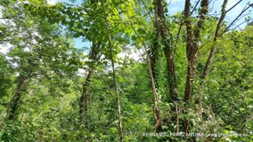 Santuario De Covadonga, Covadonga, Asturias, España