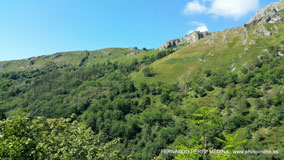 Santuario De Covadonga, Covadonga, Asturias, España