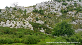 Lagos de Covadonga, Asturias, España
