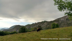 Lagos de Covadonga, Asturias, España