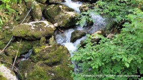 Santuario De Covadonga, Covadonga, Asturias, España