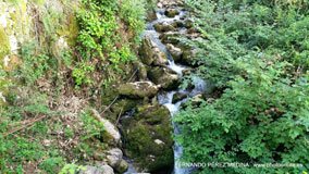 Santuario De Covadonga, Covadonga, Asturias, España