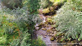 Santuario De Covadonga, Covadonga, Asturias, España
