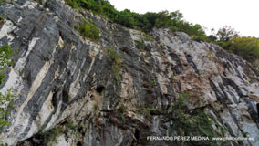 Santuario De Covadonga, Covadonga, Asturias, España