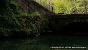 Santuario De Covadonga, Covadonga, Asturias, España