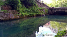 Santuario De Covadonga, Covadonga, Asturias, España